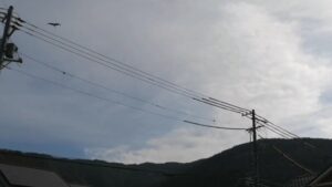 分譲地の動画を公開しました