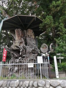 松本市惣社の神社は実はパワースポットでした！