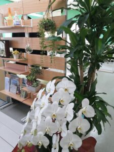 毎月1日は今日は何の日シリーズです。