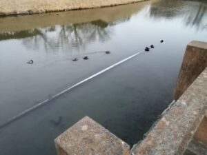 いよいよ寒さもピークといったところですね