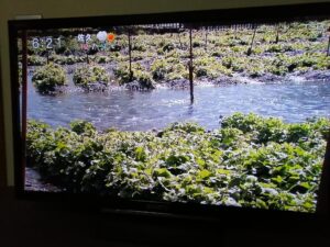 生まれ変わる！？大王わさび農場に行ってきました。