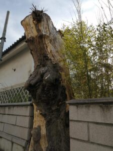 松本市筑摩にて、元気になりそうな風景