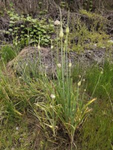 地主さんともかれこれ４ヵ月のお付き合い