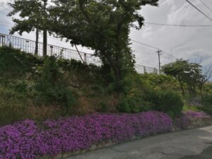 騒音は人それぞれといったところでしょうか