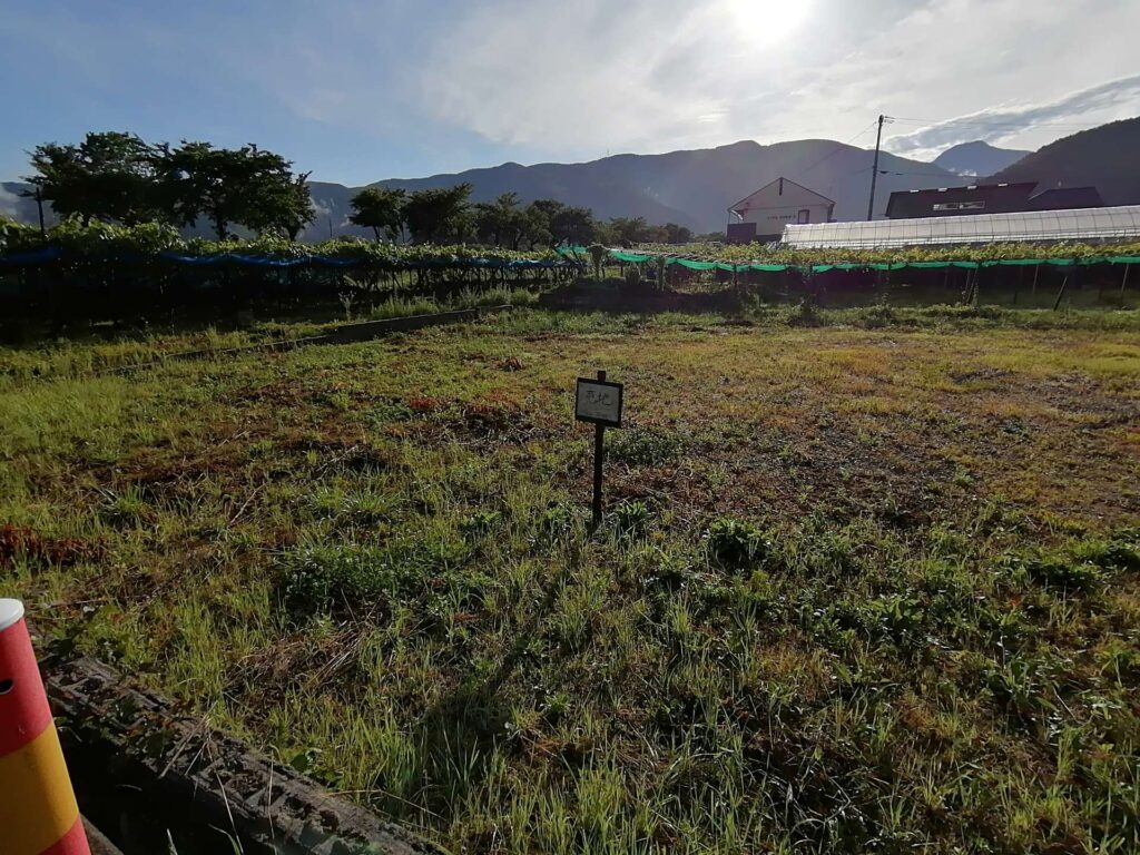 畑に囲まれた広々とした敷地