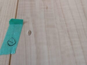 新築住宅の引渡し前の不具合チェック