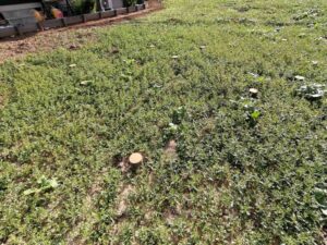 地盤改良工事が不測の費用となってしまう