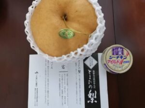 日本一大きな梨をいただきました。