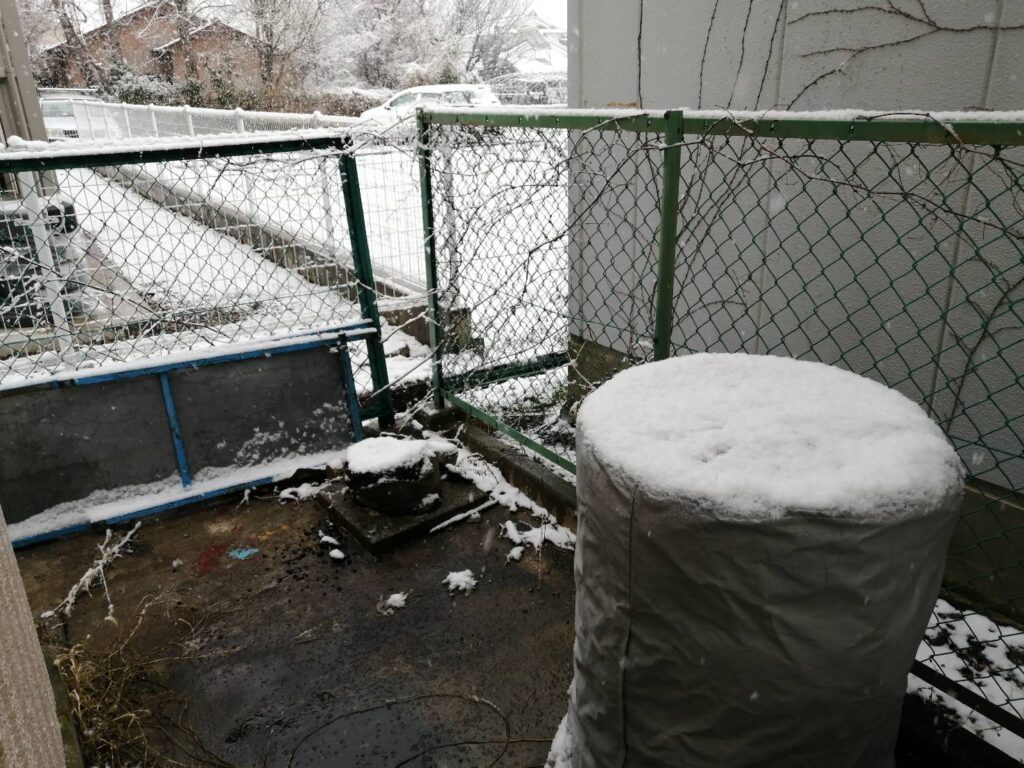 雪の積もる松本市