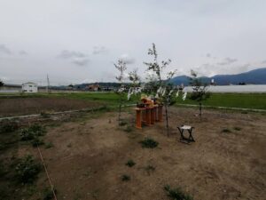 お久しぶりに地鎮祭に参加させていただきました