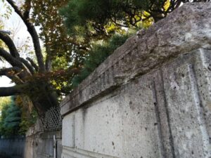 隣の木枝が自分の土地に侵入していたらどうする