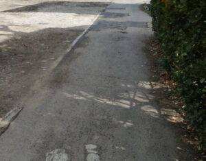 はみ出た竹木の枝葉は切り取ることができます