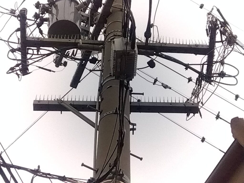 鳥のフン害対策が施された電柱
