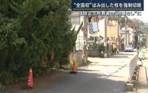 所有者の同意なしに道路にはみ出た木枝を切除