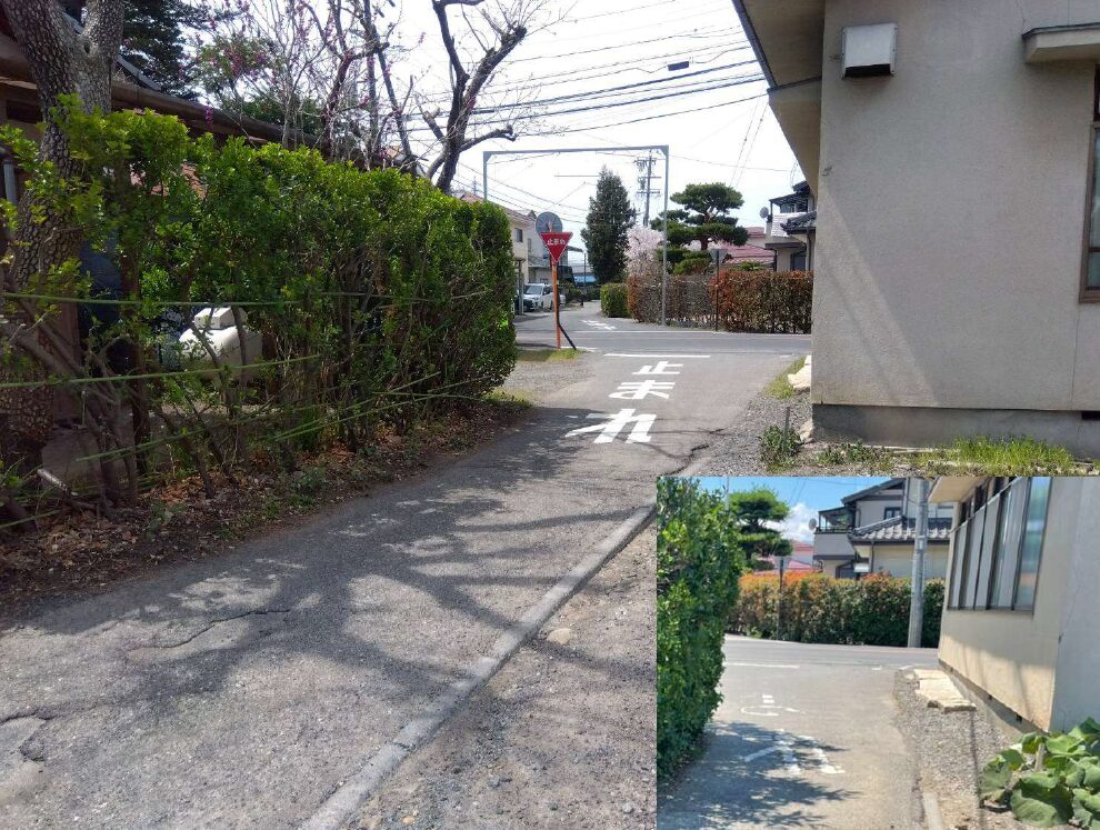 松本市島内売り土地前面道路（近隣植栽伐採前後比較）