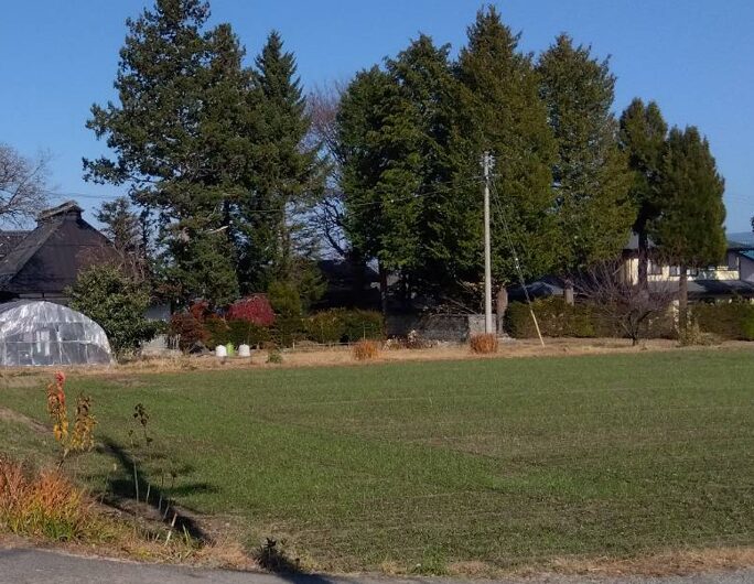 長野県内の農地の写真