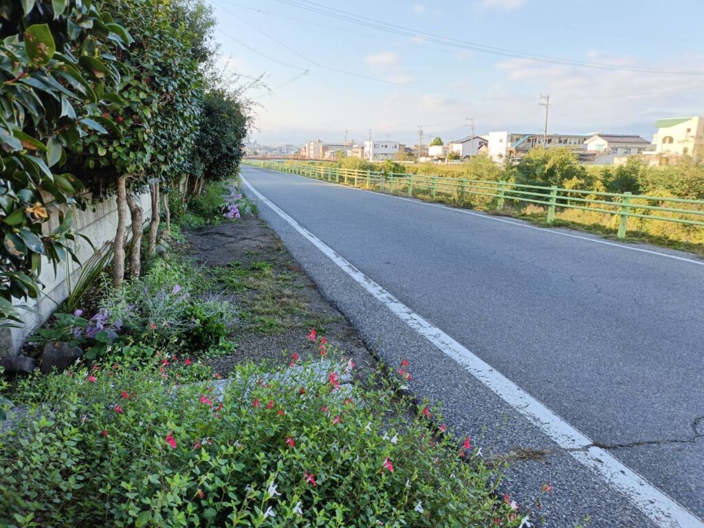 松本市女鳥羽川